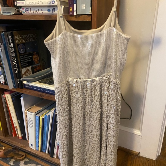 Express Silver Sequin Dress - Picture 4 of 4